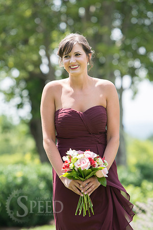 chateau morrisette wedding photography