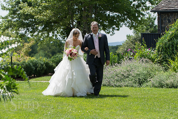 chateau morrisette wedding photography