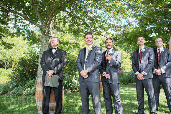 chateau morrisette wedding photography