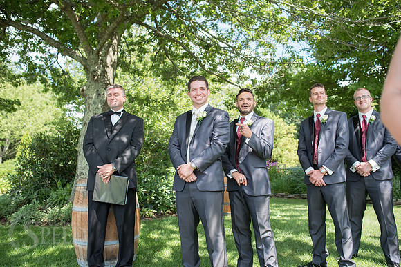 chateau morrisette wedding photography