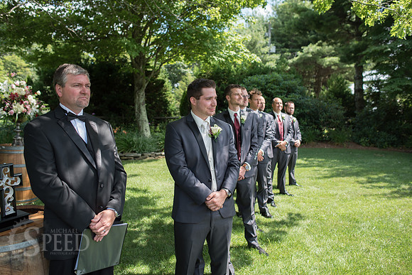 chateau morrisette wedding photography