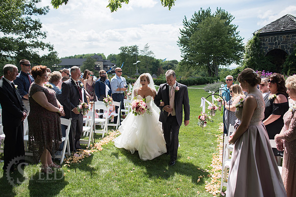 chateau morrisette wedding photography