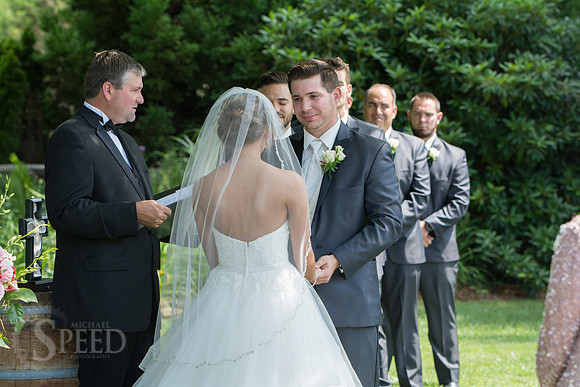 chateau morrisette wedding photography