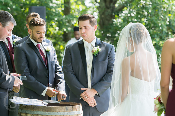 chateau morrisette wedding photography