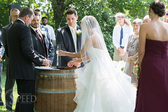 chateau morrisette wedding photography