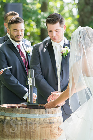 chateau morrisette wedding photography