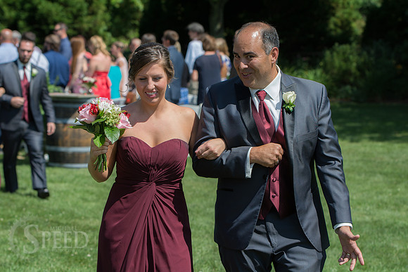chateau morrisette wedding photography