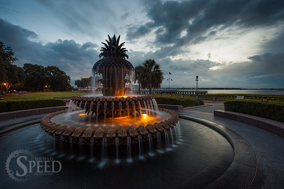 Pineapple Fountain Charleston