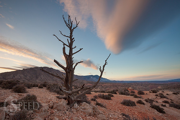 big horn canyon