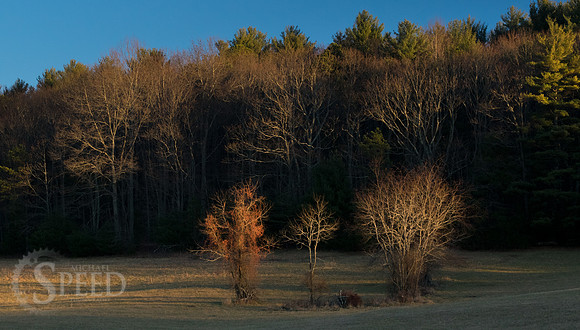 blue ridge music center area