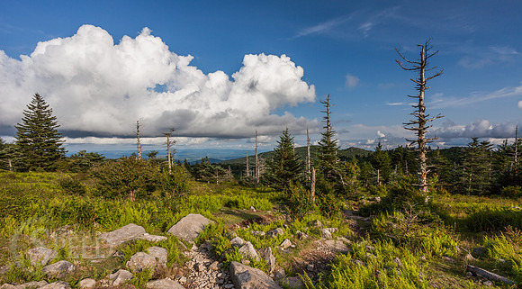 Grayson Highlands State Park