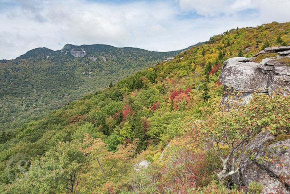 Rough Ridge Trail