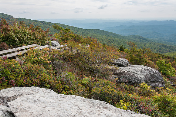 Rough Ridge Trail
