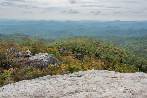 Rough Ridge Trail