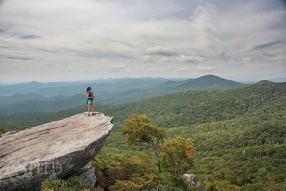 Rough Ridge Trail