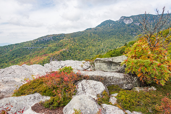 Rough Ridge Trail