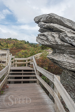 Rough Ridge Trail