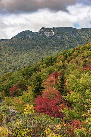 Rough Ridge Trail
