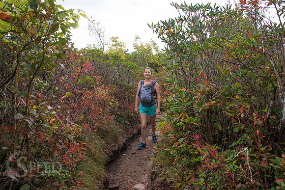 Rough Ridge Trail