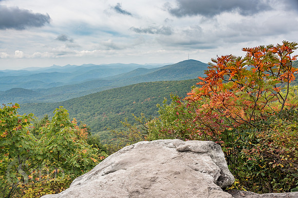 Rough Ridge Trail