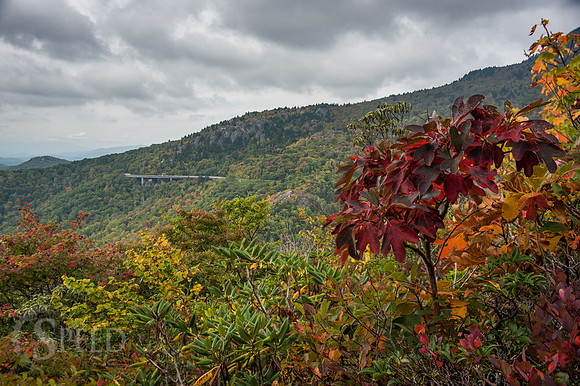 Rough Ridge Trail