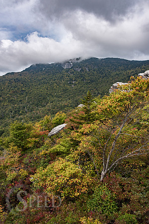 Rough Ridge Trail