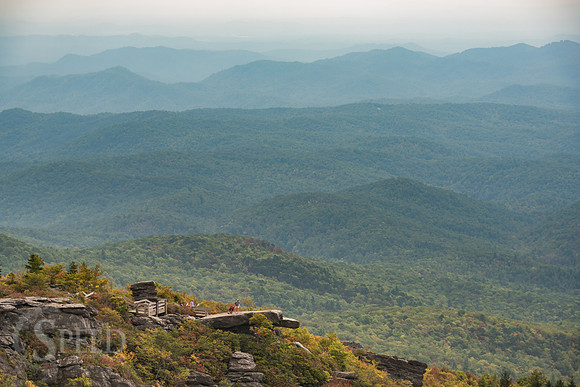 Rough Ridge Trail