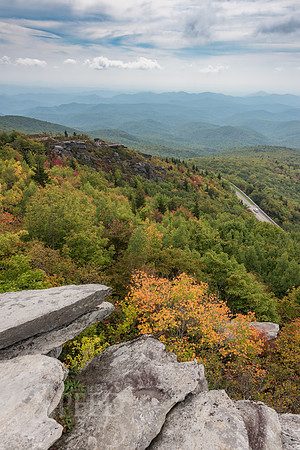 Rough Ridge Trail