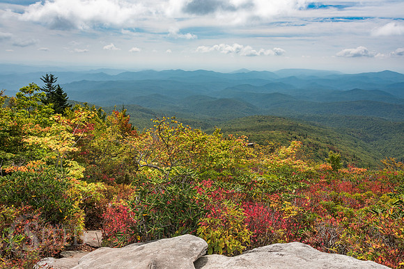 Rough Ridge Trail