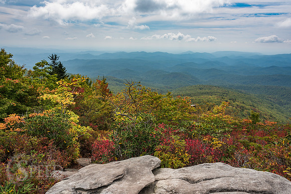 Rough Ridge Trail