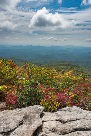 Rough Ridge Trail