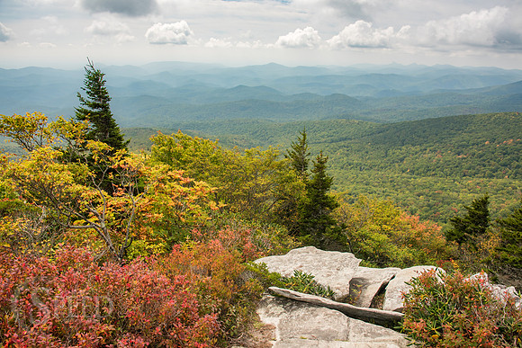 Rough Ridge Trail