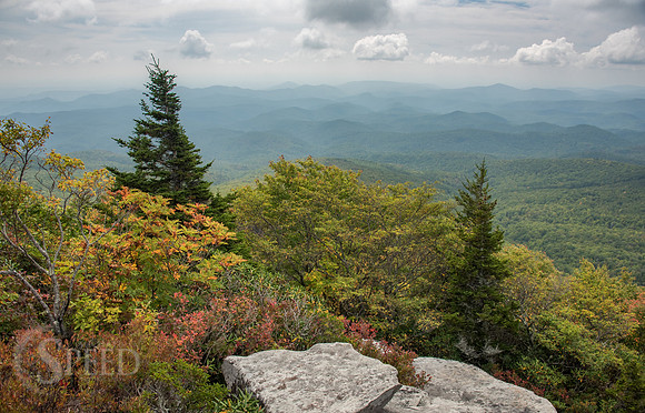 Rough Ridge Trail