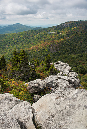 Rough Ridge Trail