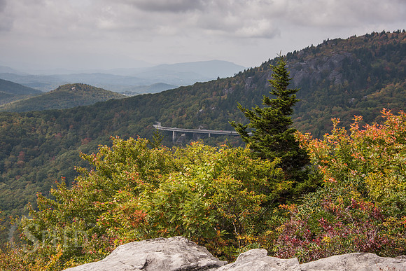 Rough Ridge Trail