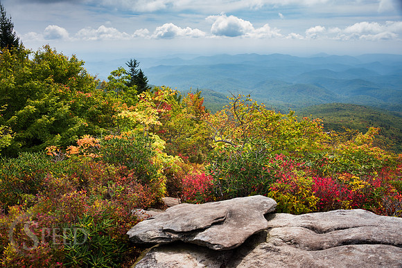 Rough Ridge Trail