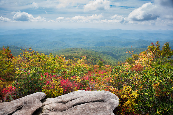 Rough Ridge Trail