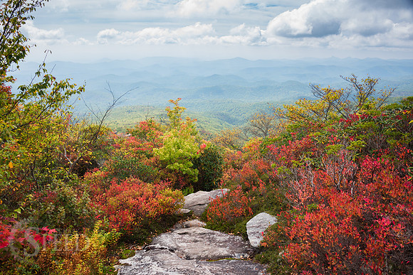 Rough Ridge Trail