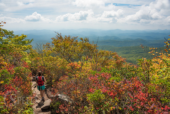 Rough Ridge Trail