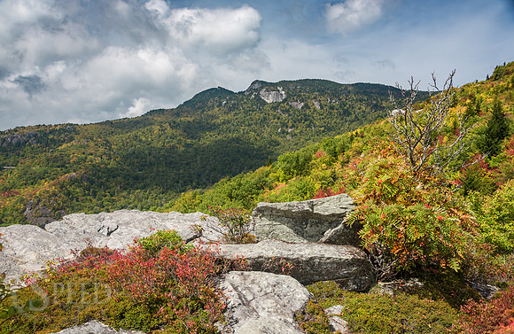 Rough Ridge Trail