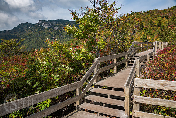 Rough Ridge Trail