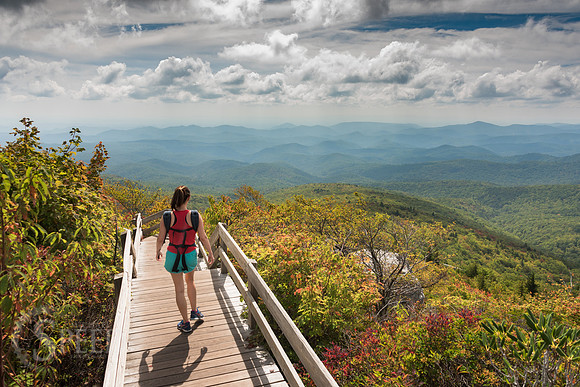 Rough Ridge Trail