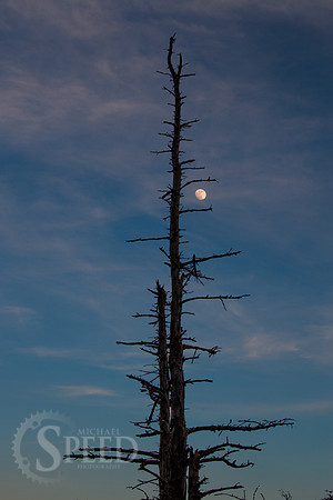 Grayson Highlands State Park