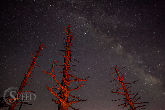 Grayson Highlands State Park