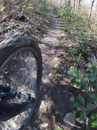 New River Trail State Park