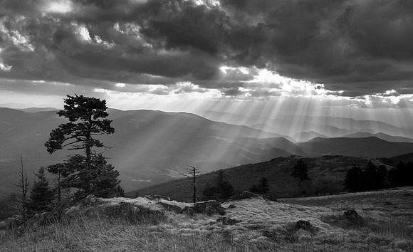 WhiteTop Mountain