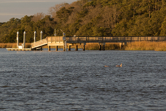 Edisto Island Beach and State Park