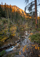 Big Timber Area