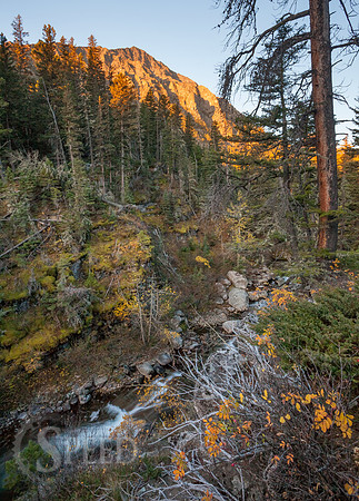 Crazy Mountain Range of Montana