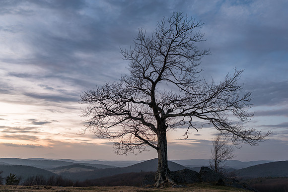 Rocky Knob